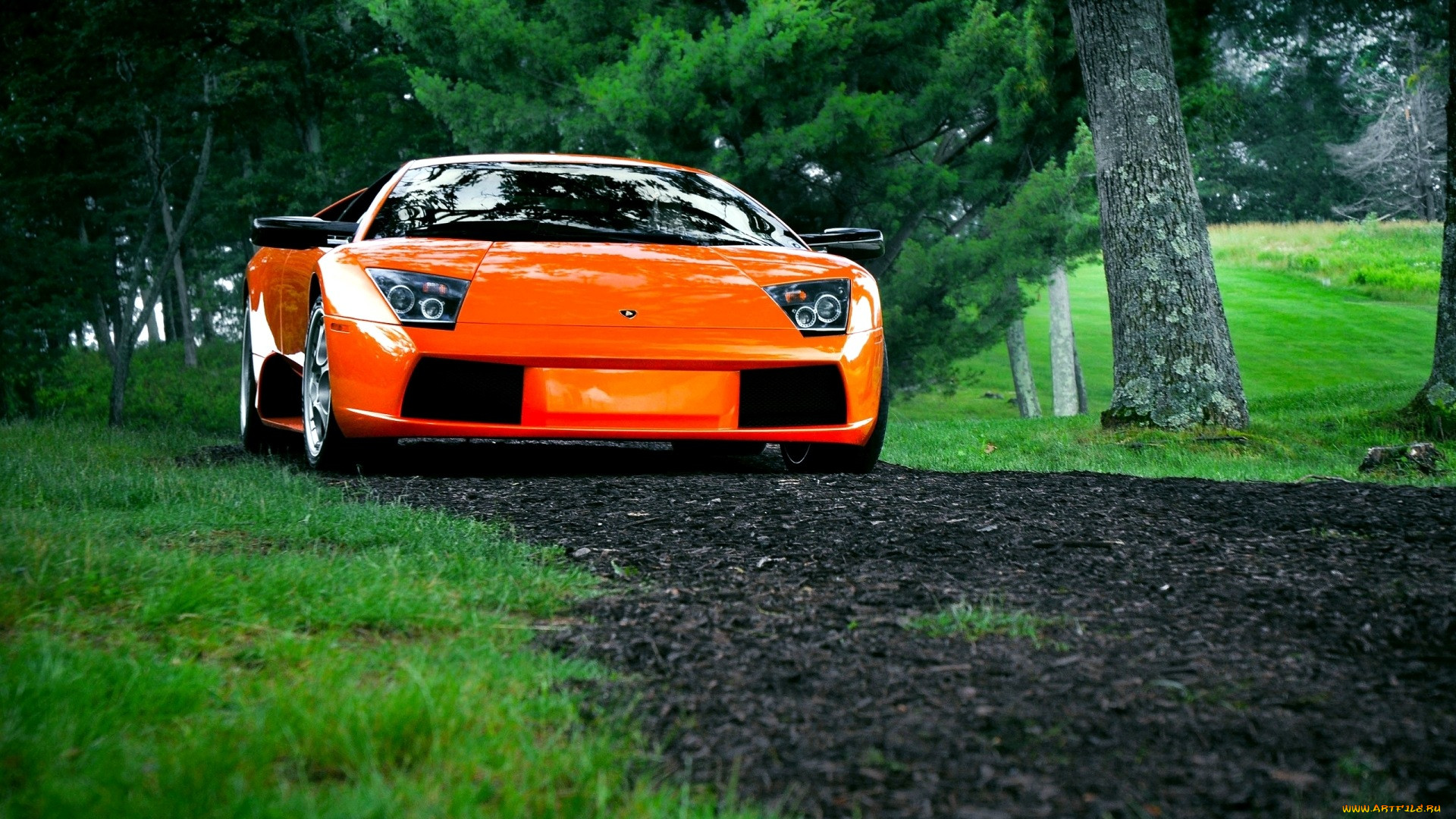 lamborghini, murcielago, 